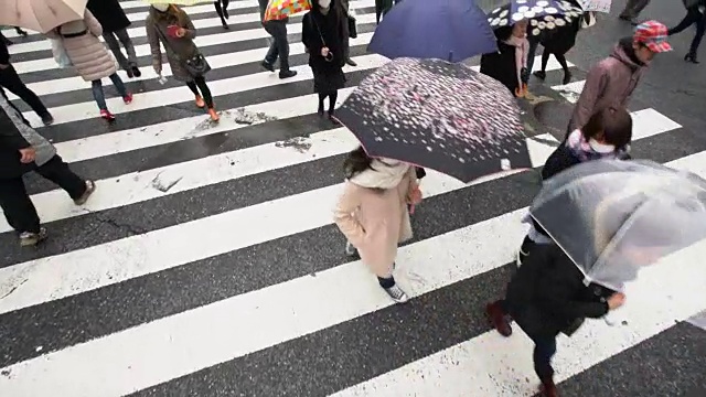 WS Slow Mo鸟瞰图的人过马路与雨伞视频素材