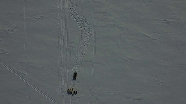 从上面看到的狗拉雪橇的无人机镜头视频下载