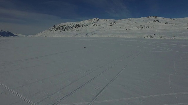 从远处传来的狗拉雪橇的视频视频素材