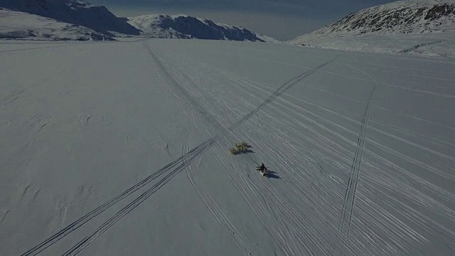 狗拉雪橇经过十字路口的无人机镜头视频下载