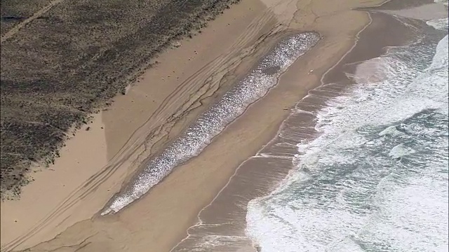 海岸线 - 鸟瞰图 - 阿基坦，兰德斯，达克斯区，法国视频素材