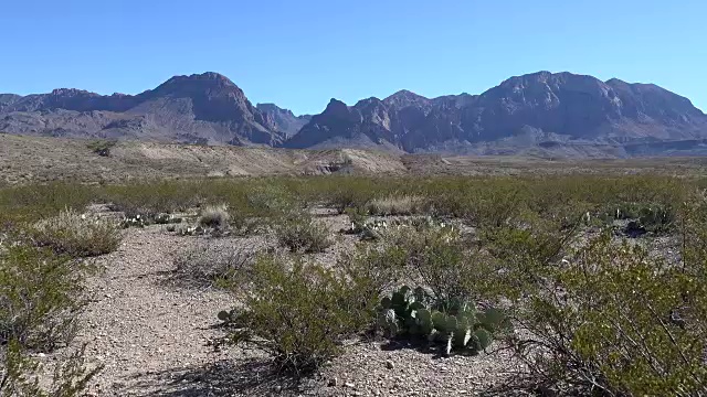 德州大本德沙漠地面和山脉视频素材