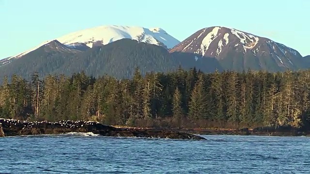 阿拉斯加锡特卡湾的风景视频素材