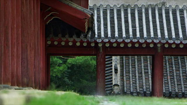 宗庙宗全神社(联合国教科文组织世界遗产)在雨天视频素材