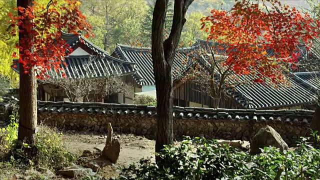 仙庵寺(韩国国宝400)和枫树视频素材