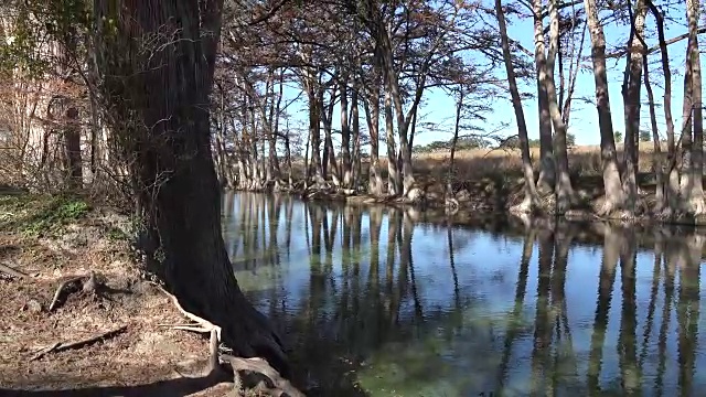 德克萨斯州麦地那河的柏树在水中的倒影缩小了视频素材