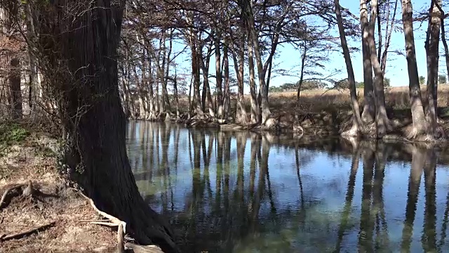 德克萨斯州麦地那河的树木在水中反射放大视频素材