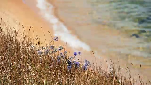 海浪拍打着岩石视频素材