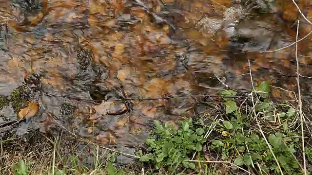 小山涧视频素材