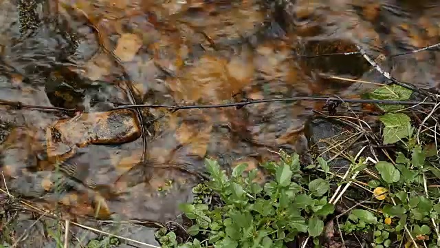 小山涧视频下载