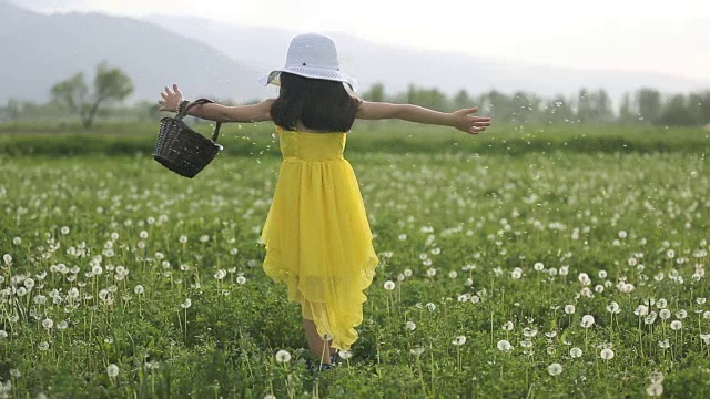 女孩用蒲公英种子旋转视频素材