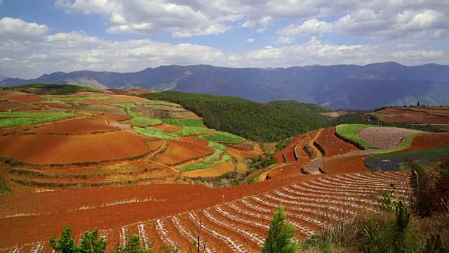 东川红土景观视频素材