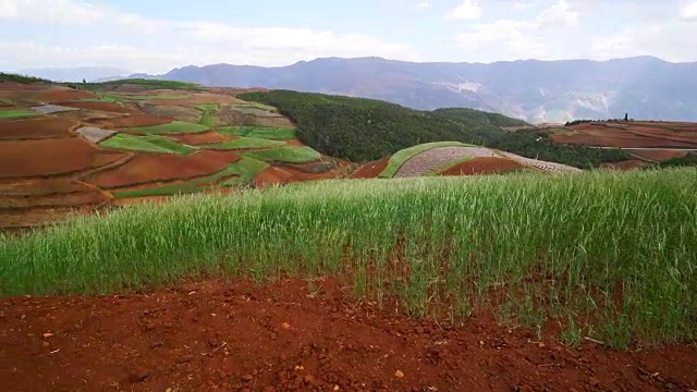 东川红土景观视频素材