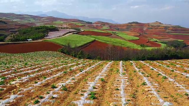 东川红土景观视频素材