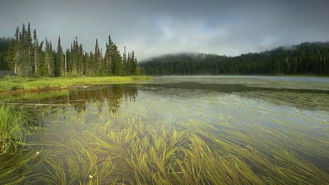 湖反映森林和山，雷尼尔山国家公园，华盛顿视频素材