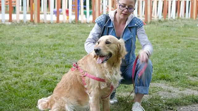 漂亮女孩和她的金毛猎犬玩棍子视频素材