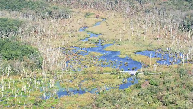 大沼泽野生动物保护区-鸟瞰图-罗德岛，华盛顿县，美国视频素材