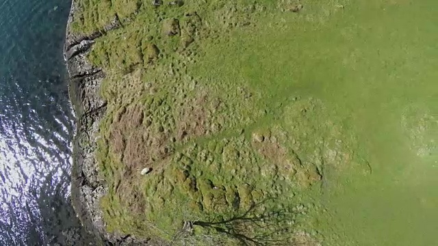 苏格兰Kerrera岛，山谷和海岸线的鸟瞰图视频素材