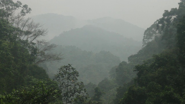 低垂的云悬在树和山的上空。视频素材