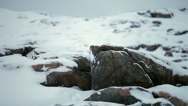 石头埋在雪下，天空飘落一场小雪视频素材