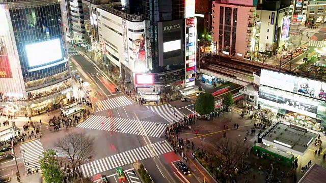 涉谷夜游，灯光映入眼帘视频素材