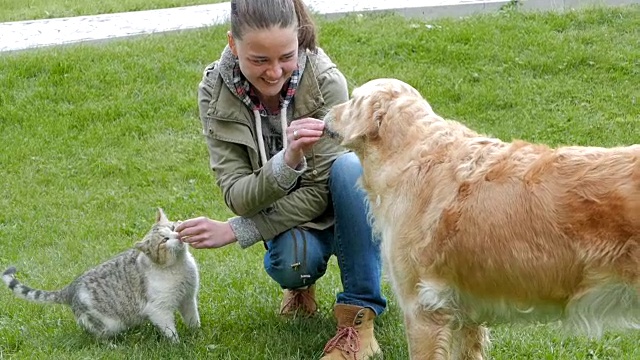 女孩同时喂猫和狗朋友视频素材