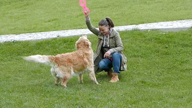 女孩和她的金毛猎犬在外面玩耍视频素材