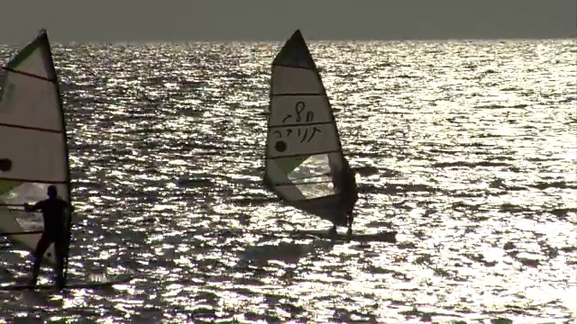 人们在风平浪静的海面上冲浪视频素材