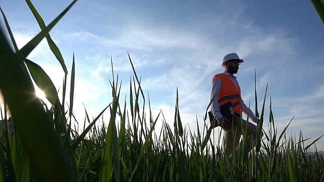 电气工程师在日落时在田野上散步视频素材