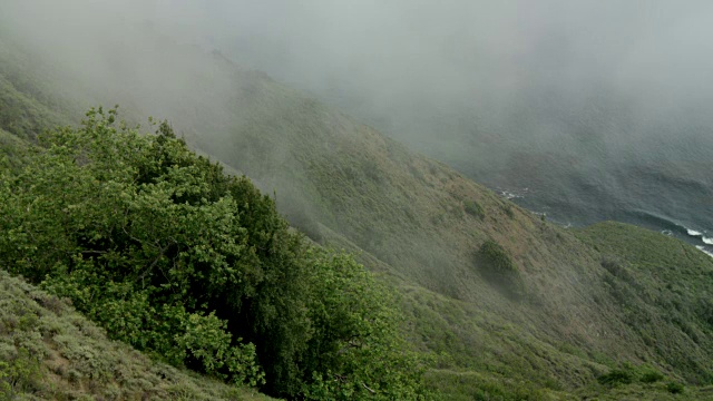 浓雾在大苏尔海岸的山丘和灌木丛上翻滚-静电视频素材