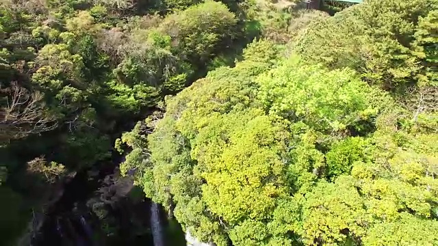 济州岛暖温带森林天池渊瀑布鸟瞰图(韩国自然保护区379)视频素材