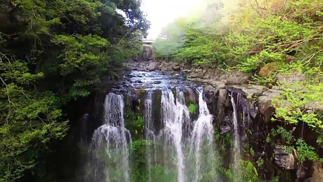 济州岛暖温带森林天jeonjeon瀑布鸟瞰图(韩国自然保护区378号)视频素材