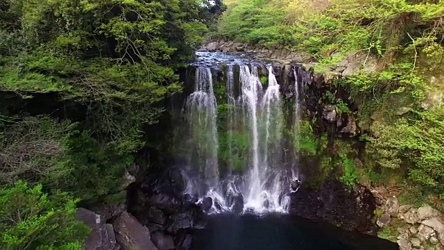 济州岛暖温带森林天jeonjeon瀑布鸟瞰图(韩国自然保护区378号)视频素材