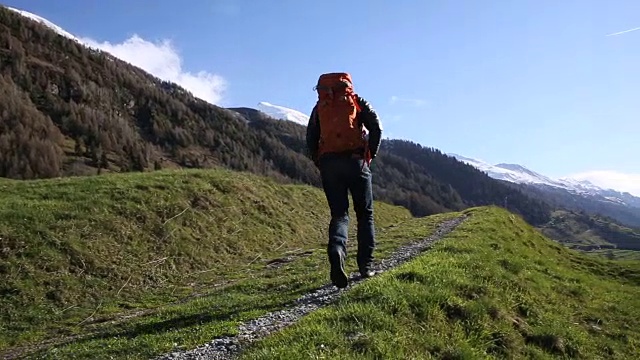 日出时，一名男性徒步者走在长满青草的山地草地上视频素材