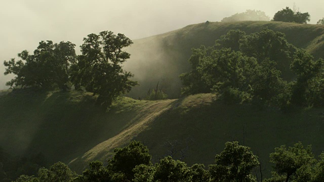 雾和云层清除显示树木和山脉，大Sur - Static视频素材