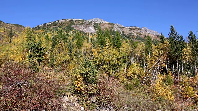 冰川国家公园秋色山风景区视频素材