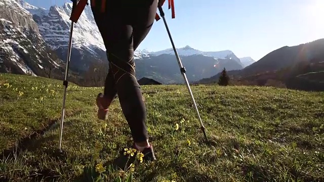 女徒步旅行者穿过长满青草的山地草地，经过小溪视频素材