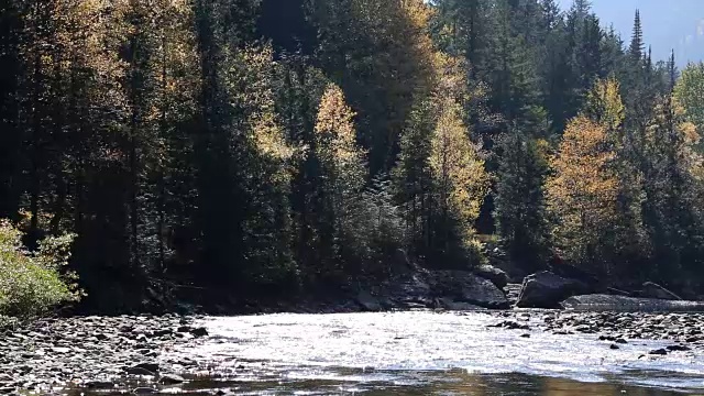 闪闪发光的山区河流视频素材