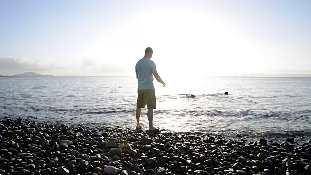 日落时分，一名男子在海滩上与狗狗玩耍视频素材