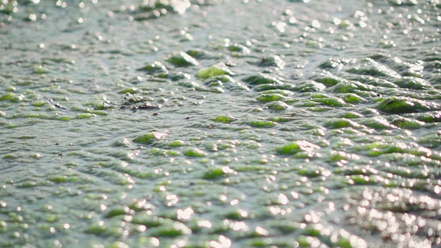 慢镜头:特写水污染视频素材