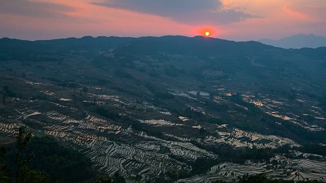 原阳稻田景色视频素材