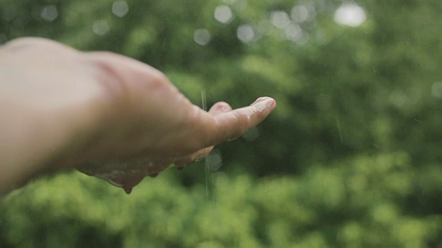 触摸着落下的雨视频下载