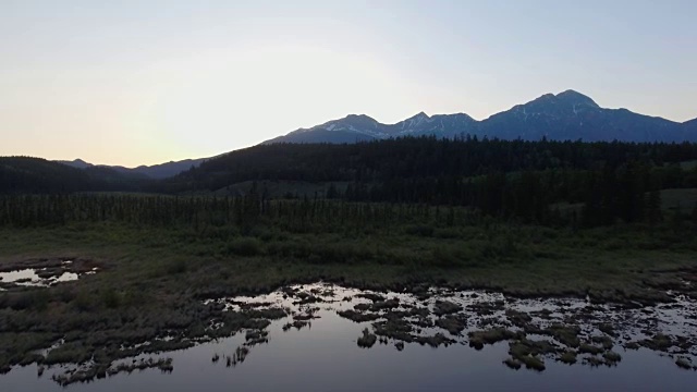 空中飞过树林和沼泽视频下载