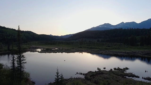 空中飞过树林和沼泽视频素材