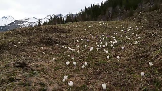 男徒步者攀登小圆石欣赏山景视频素材