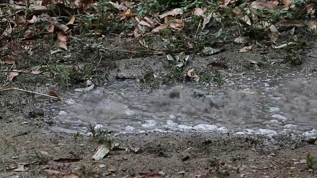 雨季里的雨视频素材