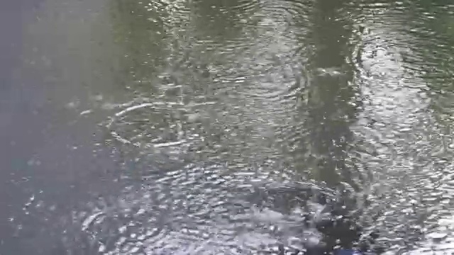 大雨视频素材