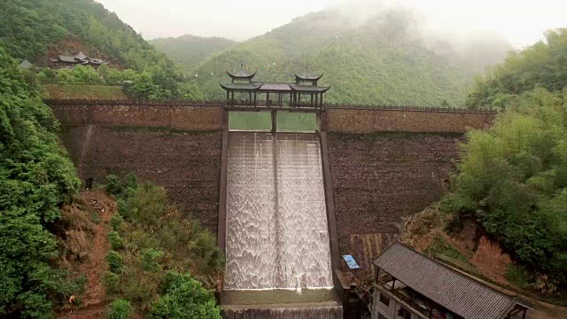 在原始森林中建有大型水坝视频素材