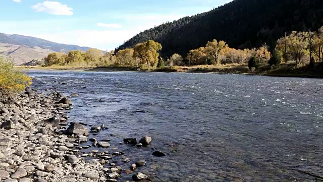 森林中的大山河视频素材