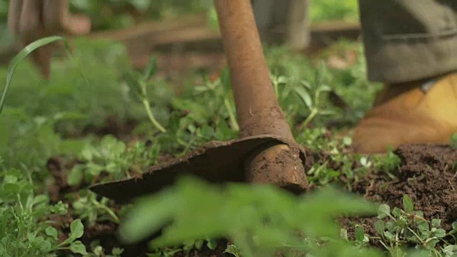 高级农民锄头工作视频素材